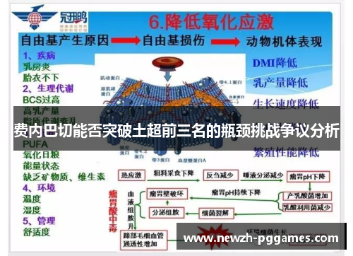 费内巴切能否突破土超前三名的瓶颈挑战争议分析 费内巴切能否突破土超前三名的瓶颈挑战争议分析