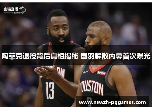 陶菲克退役背后真相揭秘 国羽解散内幕首次曝光 陶菲克退役背后真相揭秘 国羽解散内幕首次曝光